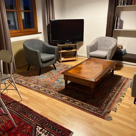 Authentique Centre Historique Apartment Colmar