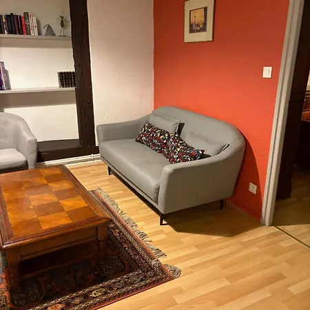 Appartement Authentique Centre Historique Colmar