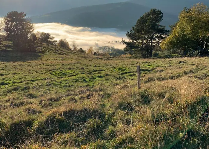 Authentique Centre Historique * Colmar