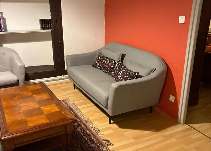 Appartement Authentique Centre Historique Colmar